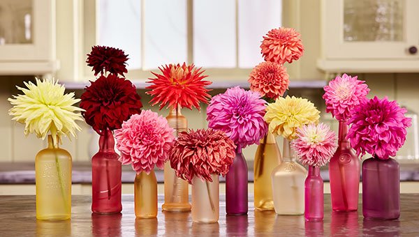 Create these Colorful Bottles- and re-purpose glass bottles into a Beautiful Flower Filled Centerpiece!