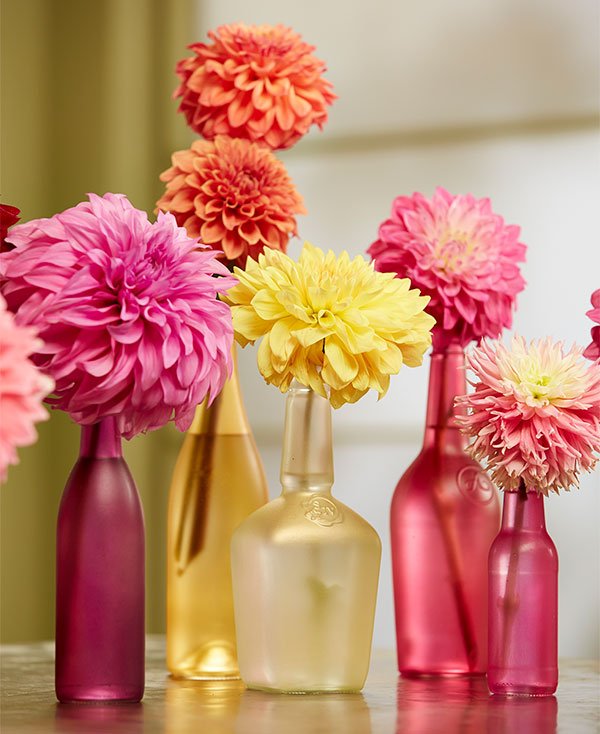 Match your dahlias- by layering the colors - with Design Master Tint-IT® or Just for Flowers® Translucent Paints from Design Master