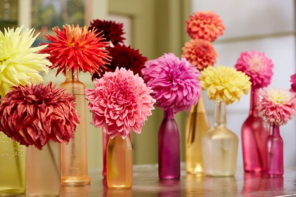The Possibilities are endless- when layering the colors of Design Master- and matching them with Beautiful Flowers!