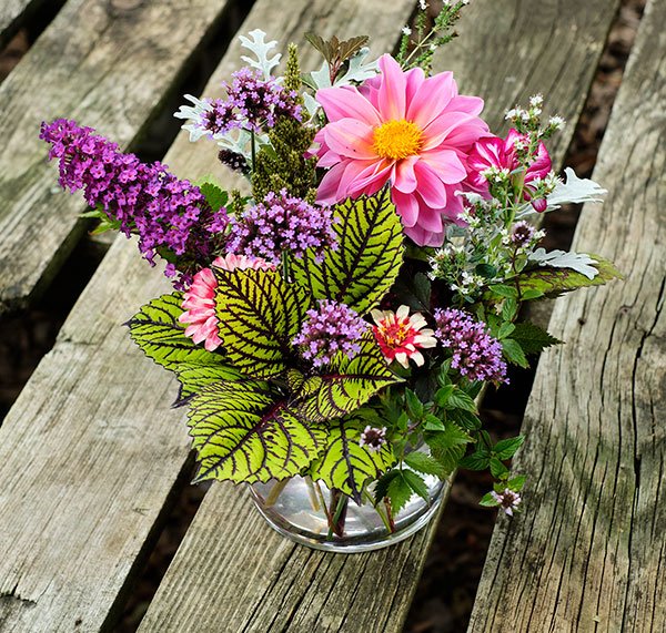 This arrangement is created Completely from Plants- that were purchased at Jonker's Garden!