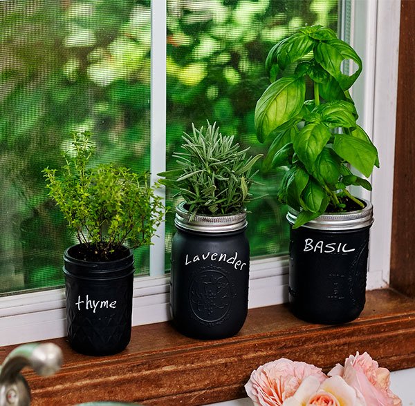 Re-purpose Fruit Jars with Graphite überMatte Paint- from Design Master- and create your own handy and beautiful Window Sill Herb Garden! 