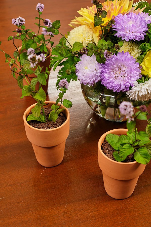Use organic flowers and tuck them into the pots just before serving... I love the Mint Stems with the Little blooms- but you can use daisies, pansies or other flowers too! 