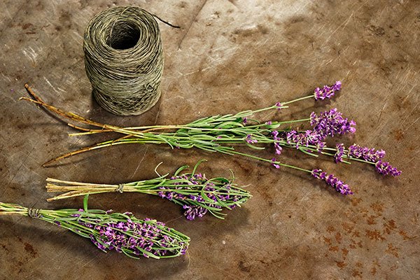 J shares how to create this vintage French Flower Craft- learn to make a Lavender Bottle with Fresh Lavender!