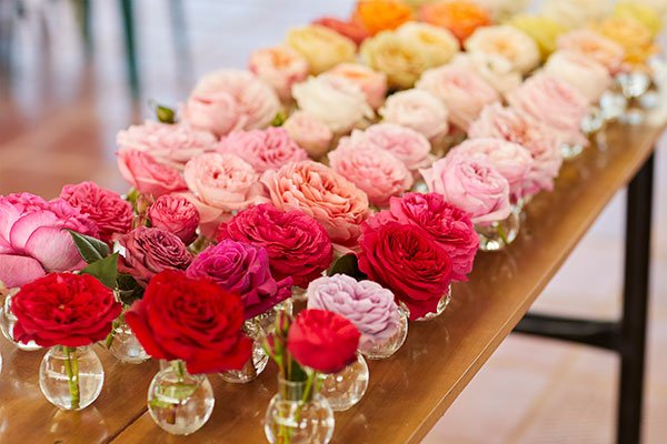 Just a few of the Varieties of Garden Roses at Alexandra Farms Roses in Bogota Colombia!