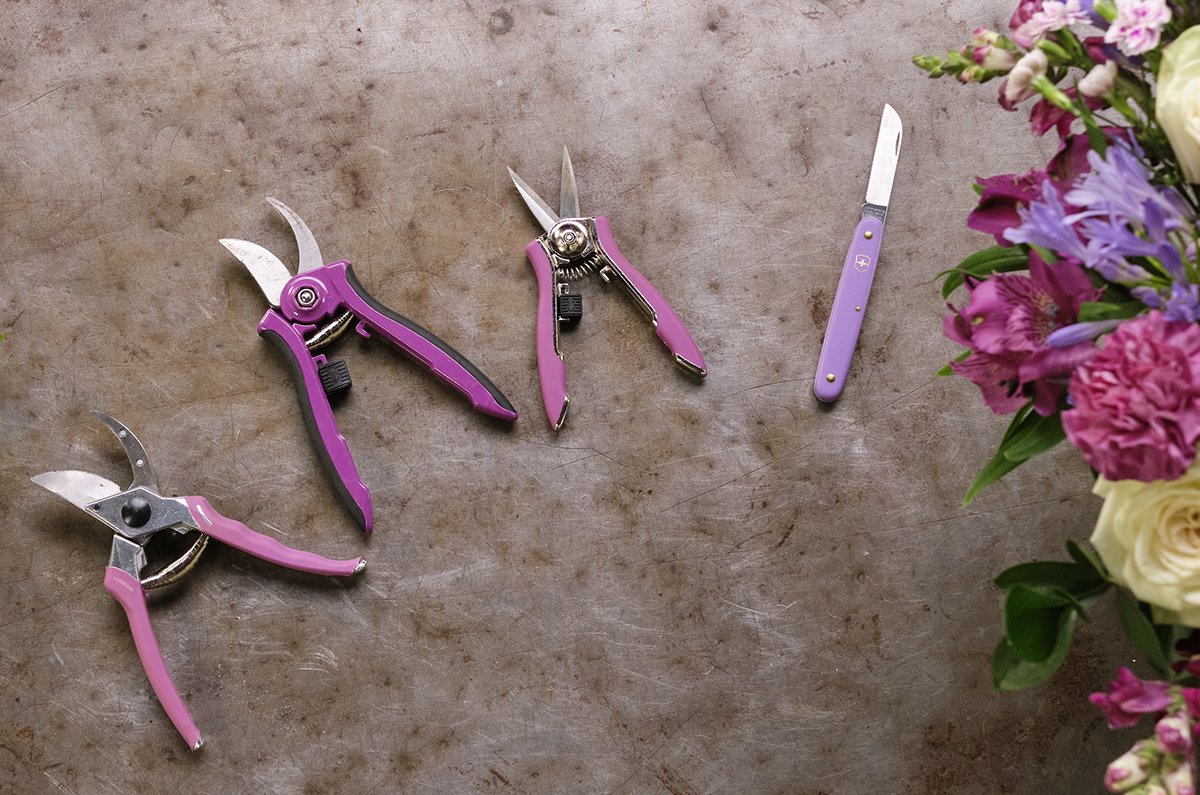 Here's the Purple Collection of ColorPoint Tools from Dramm and a Purple Knife from Swiss Army Tools