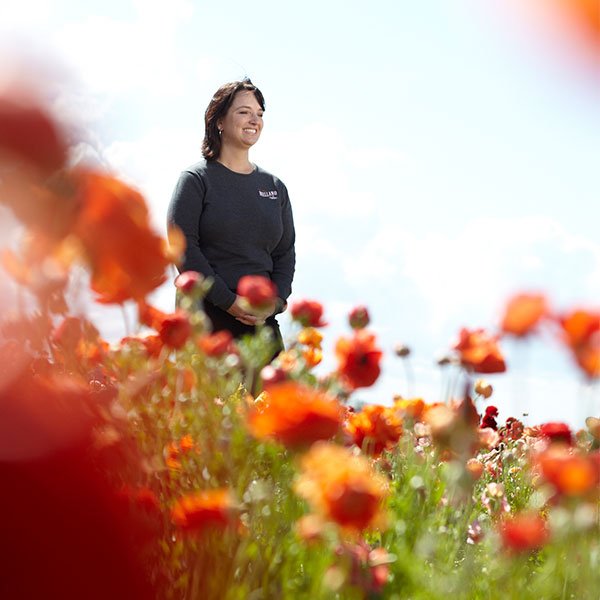 Michelle is always at the ready- to share the stories- and insights- behind the Flower Fields in Carlsbad!