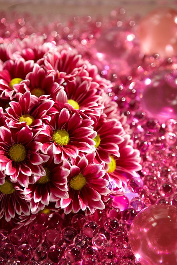 Deco Beads (water storing beads) are a great accent to the Heart of Daisies!