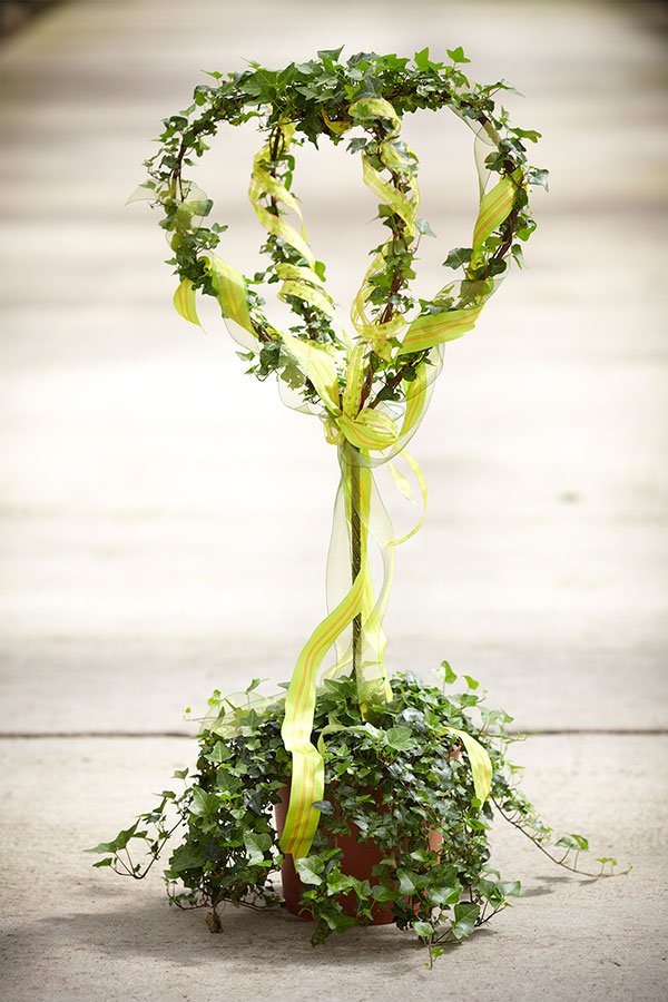 Decorating an Ivy Heart Topiary with ribbon is an easy way to dress up a topiary!