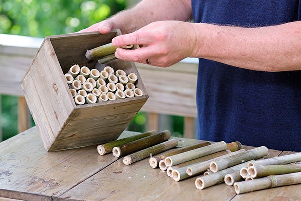Bamboo and a simple wood crate- combine to create a Bee Hotel- to help house your local pollinators!