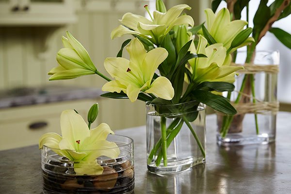 It's amazing what you can do with 10 stems of lilies (1 Bunch)- using different vases- you can spread them all around the House!