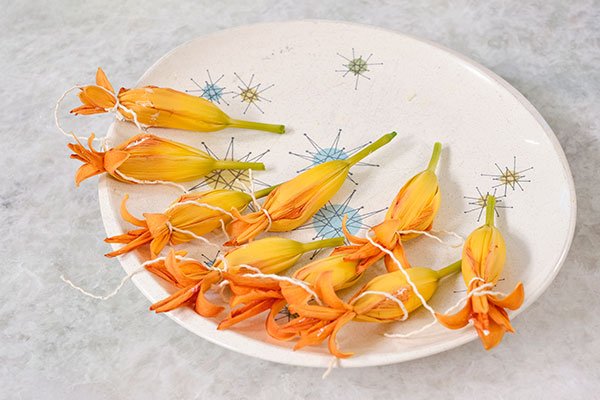 My Recipe in Bloom- is stuffed Day Lily Blooms- (they are edible) filled with Goad Cheese... and flash fried- check out the recipe link below!