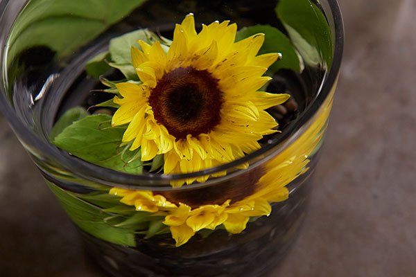What flower will you submerge? Give it a try- and share it with me - at J@UBloom.com- I want to see what you create!