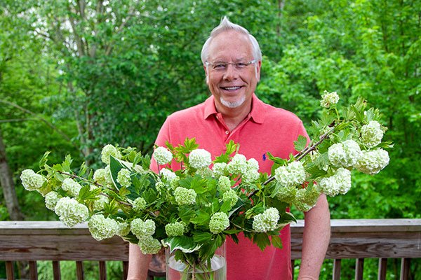 Learn more about Snowball Viburnum - the featured flower in this Episode of Life in Bloom!