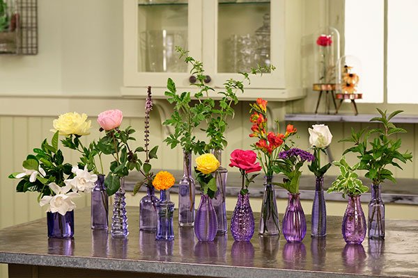 What's your favorite Flower Fragrance??? We explore these fun flowers- that each have a difference fragrance!