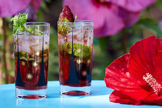 J shows how to create a Hibiscus Mojito - perfect for a Flower Cocktail Hour