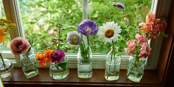 Simple Easy to create Flower projects- are part of each “Life in Bloom” episode.