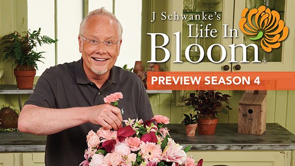 Watch the Preview for J Schwanke's Life in Bloom Season 4- by clicking on this image!