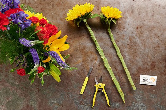 It's easy to implement a few simple steps- and help your flowers last longer- J shares his favorite flower care tips- that will result in longer lasting flowers!