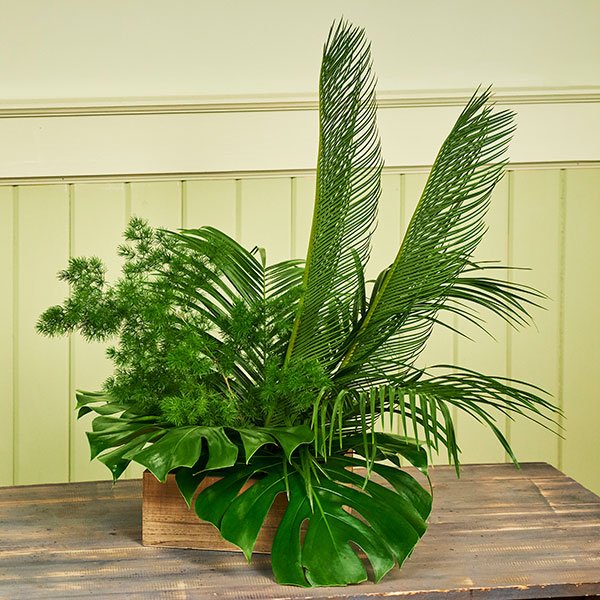 J creates a bit of Monstera Madness- in this all Green arrangement- featuring Monstera Foliage!