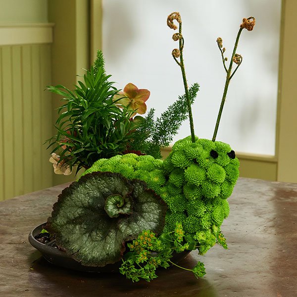 J creates a Snail- inspired from the Earth and created with Flowers and Foliage!