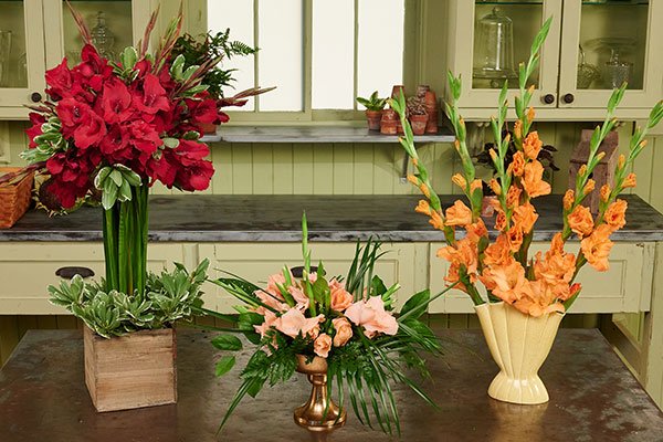 J and Kim arrange Gladiolus flowers- three different ways- Topiary Style- Vintage Style and Short Centerpiece... you'll be glad you watched this Episode of "Life in Bloom"! 