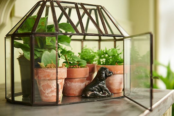 Here's a fun Project featuring a Plant Collection in a Greenhouse- with a Cocker Spaniel Collectible!