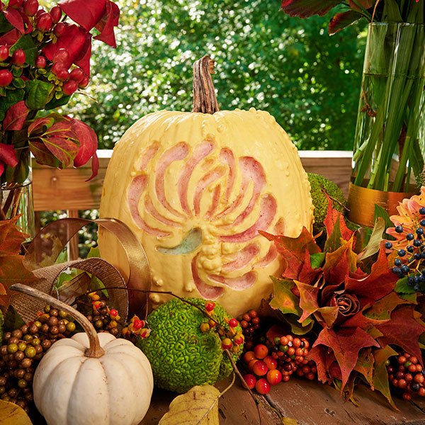 This Surface Carved Heirloom Pumpkin - is only part of the detail- that is included in the Autumn Harvest Table-scape featured in this Fall Flower Special- of Life in Bloom!