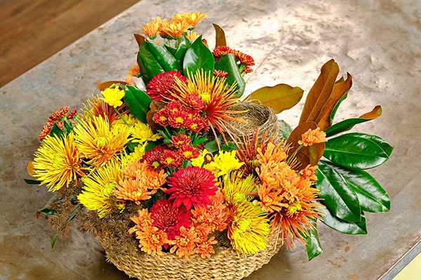 J creates an Autumn Harvest Bouquet- complete with a Bird Nest, Magnolia Leaves and ColorFresh-Chocolate Brown Ming for your Autumn Harvest Table!