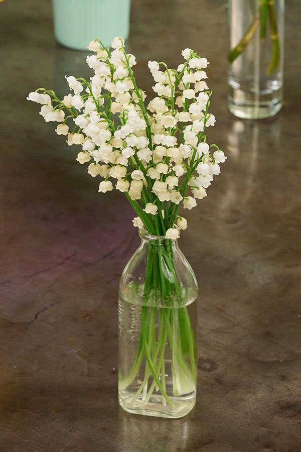 I've listed many different flowers in the blog- to help you learn about the meanings... the mean of Lily of Valley is listed above! 