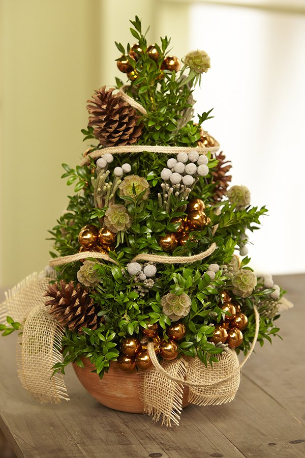 I love a Boxwood tree- and decorating a little tree can be lots of fun for the kids (and kids at heart) at home!