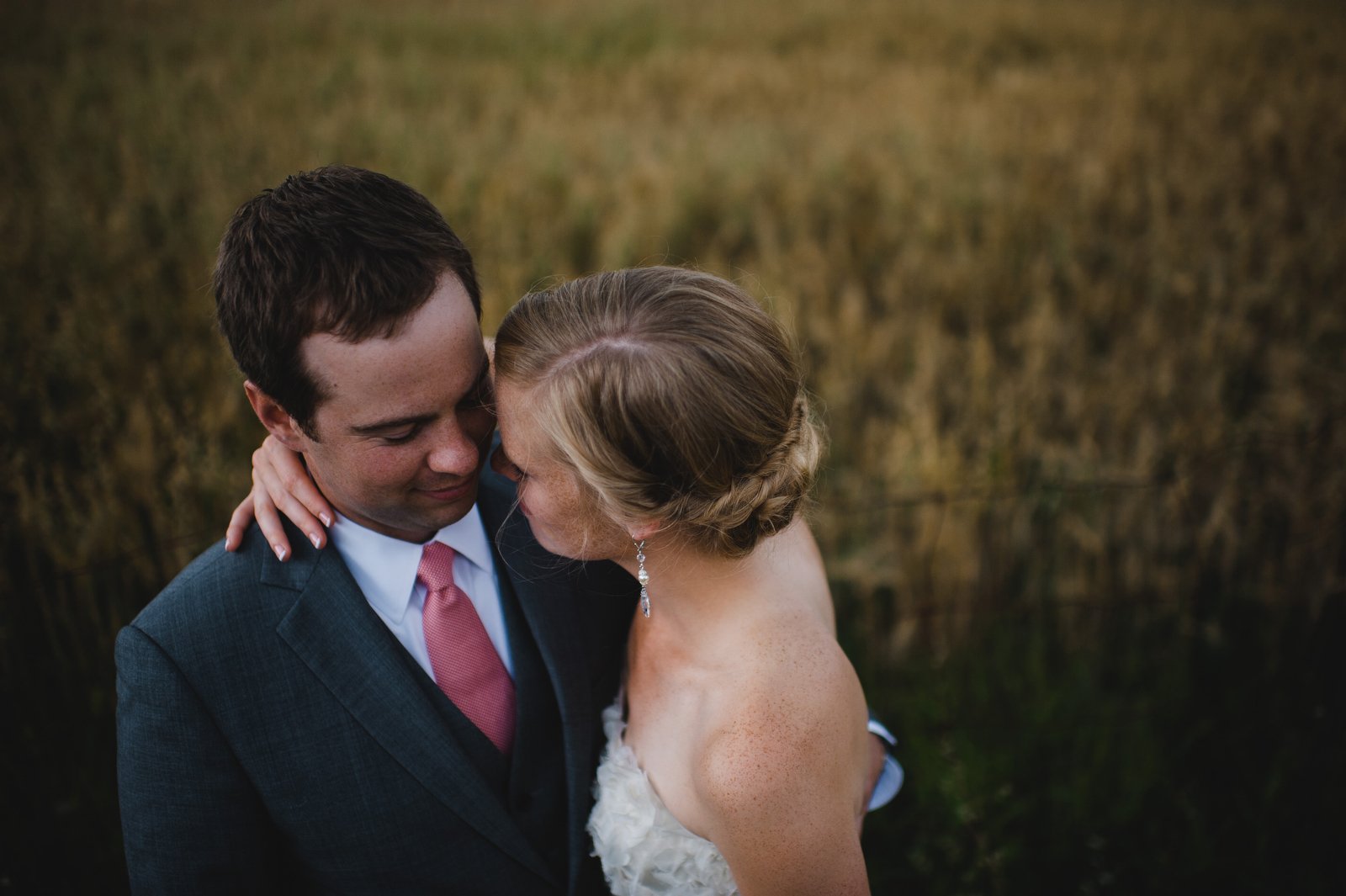 wedding photos in wheat fields | ontario backyard wedding | farm wedding near guelph ontario