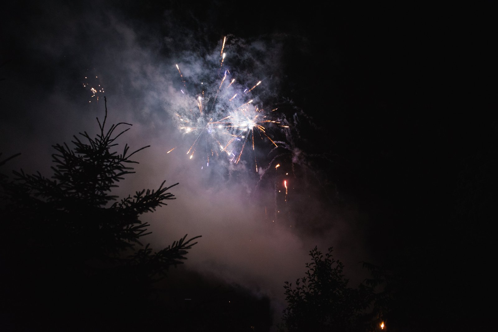 fireworks at a wedding | ontario farm wedding | backyard wedding photography