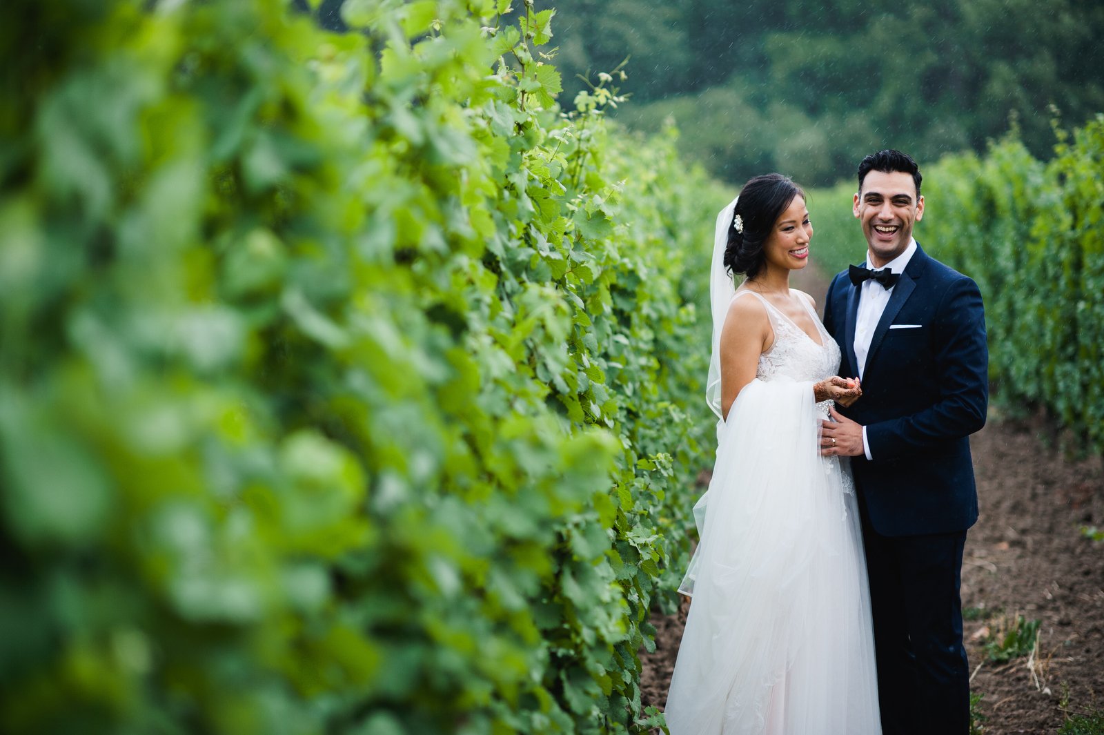 donna adil niagara vineyard wedding photography jenn dave stark 111