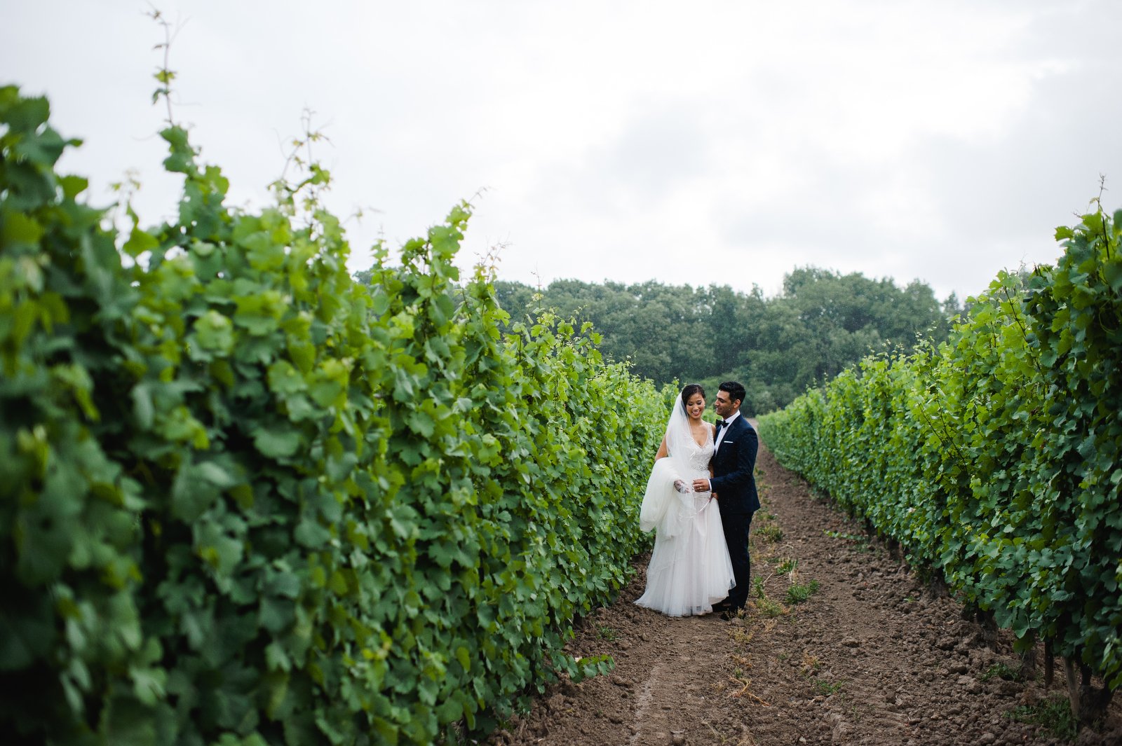 donna adil niagara vineyard wedding photography jenn dave stark 110