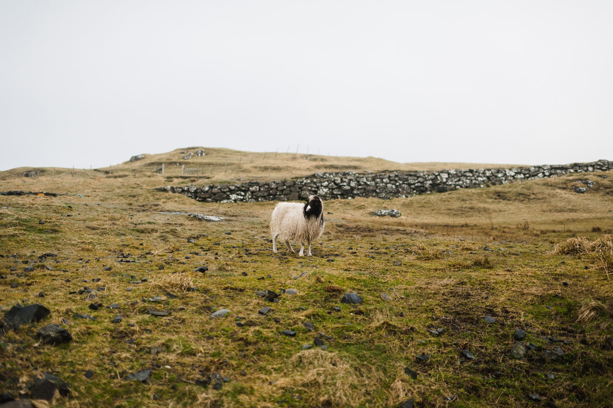 Faroe Islands Travel Photography Jenn Dave Stark 002