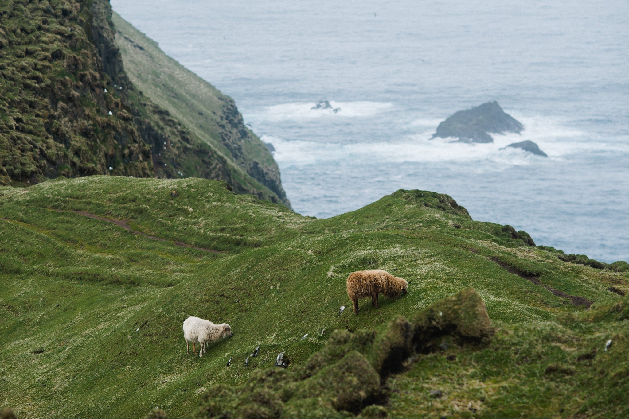 Faroe Islands Travel Photography Jenn Dave Stark 038