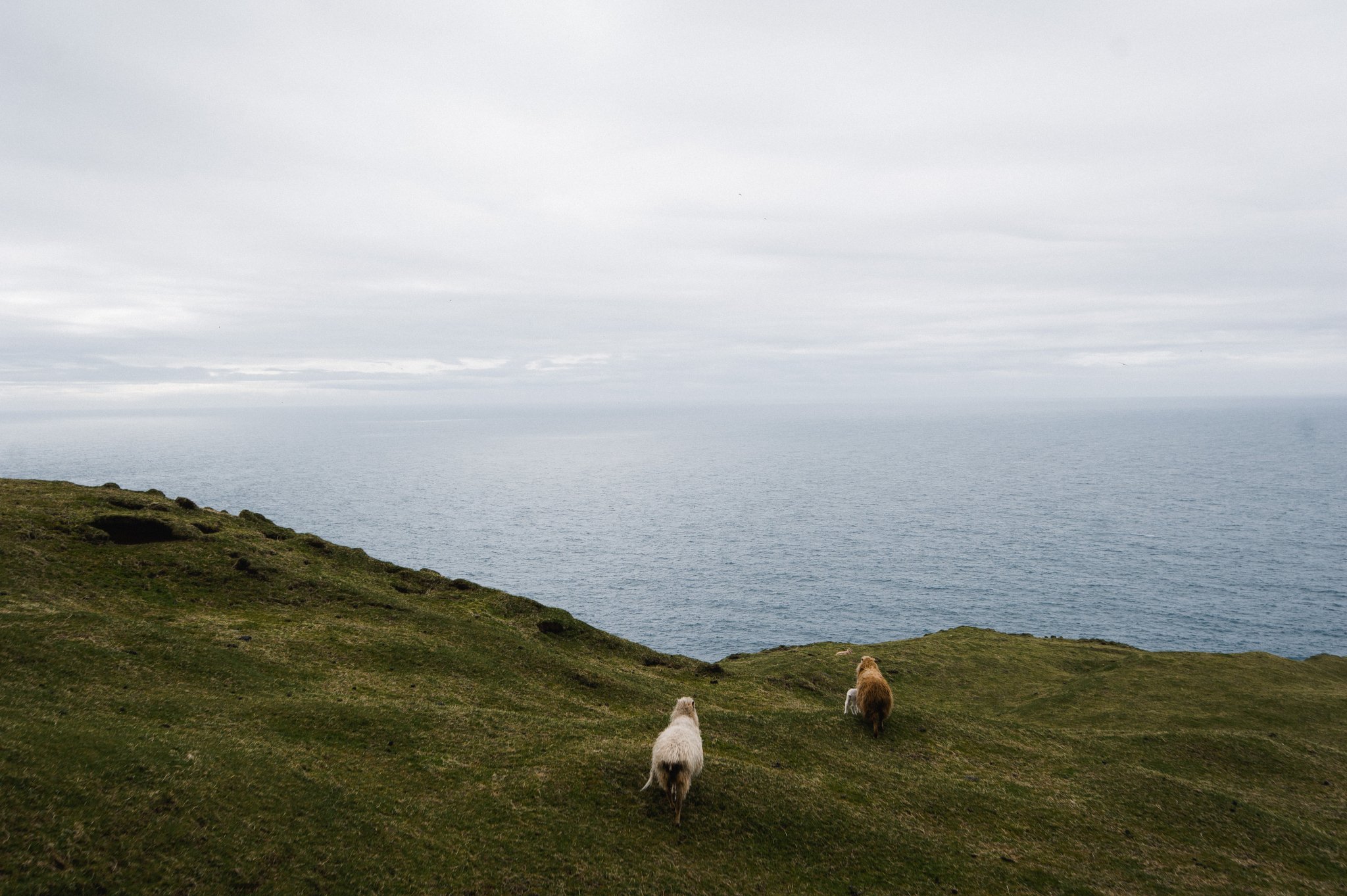 Faroe Islands Travel Photography Jenn Dave Stark 039