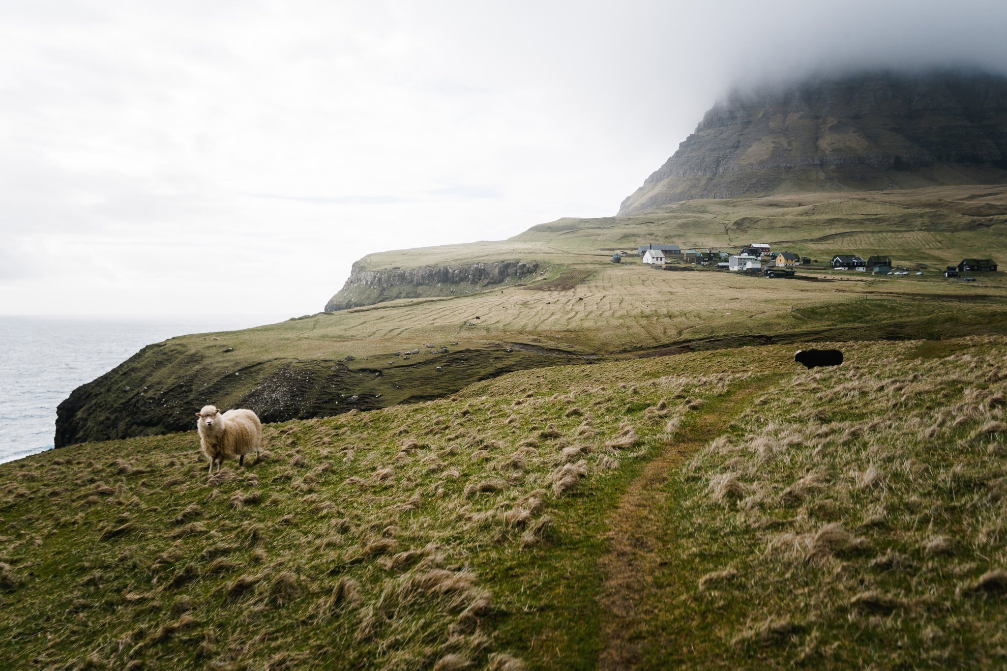 Faroe Islands Travel Photography Jenn Dave Stark 050