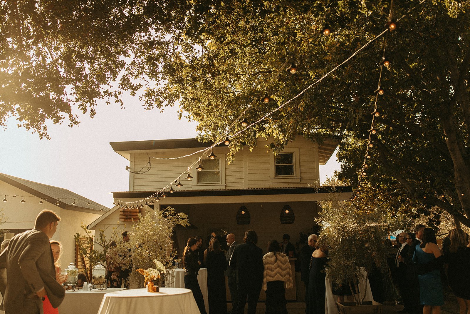 Wedding at Bodega Los Alamos with elegant colors and florals