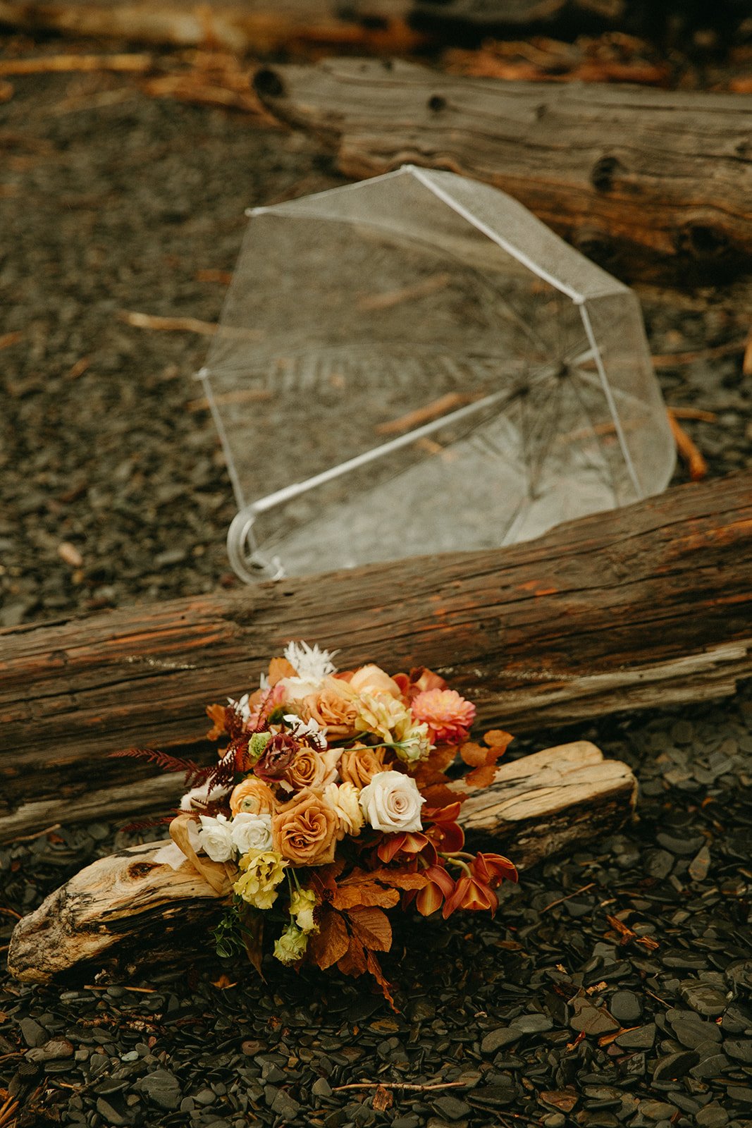 Dreamy national park elopement Day in Montana