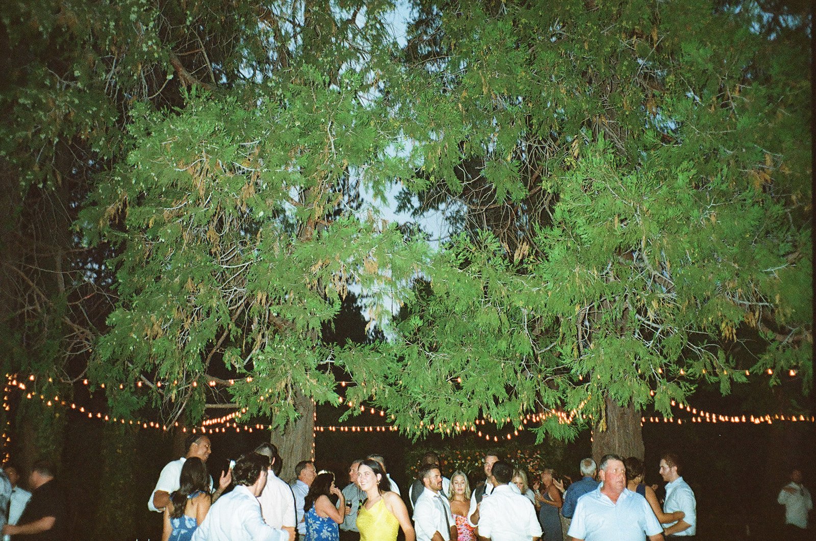 Rustic Intimate outdoor Wedding At Monte Verde Inn on film