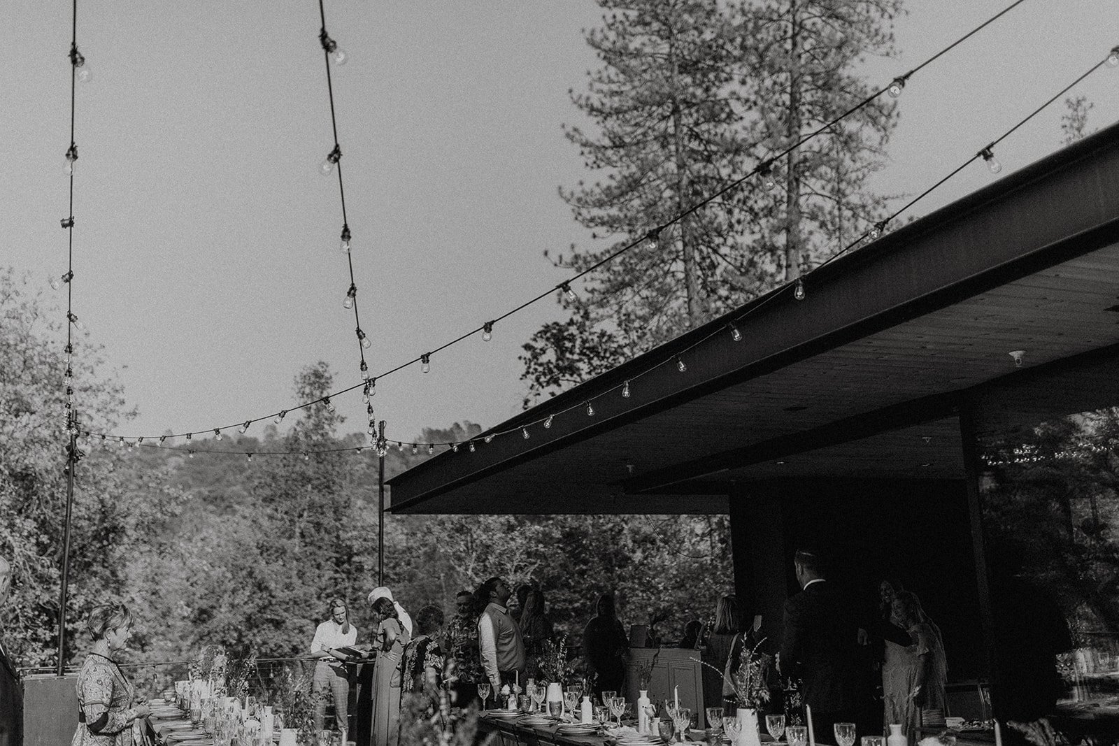 Boho reception in Yosemite
