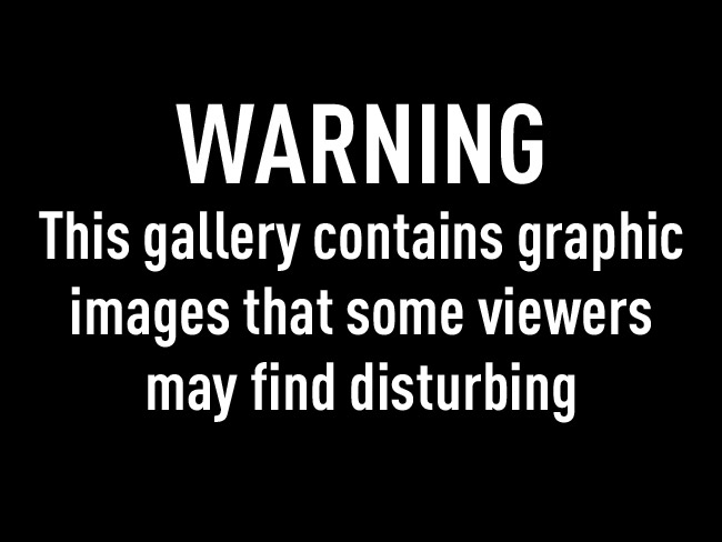 Image result wey dey for Very Graphic Photo Warning