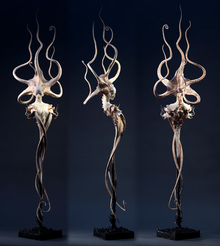 octopoid-descending-trio-forest-rogers.jpg