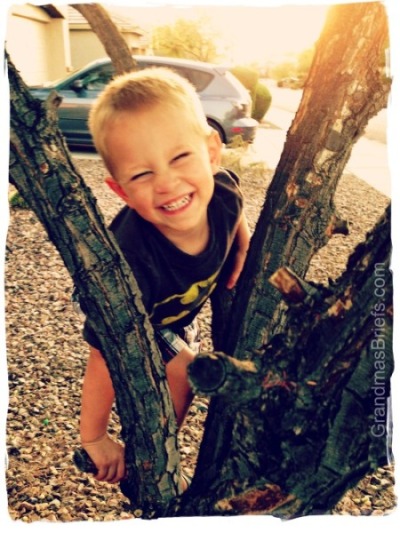 toddler in tree
