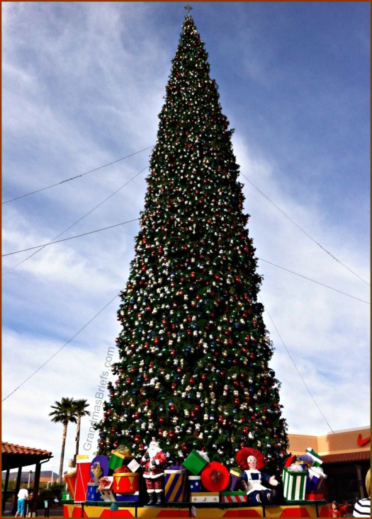 nation's tallest christmas tree