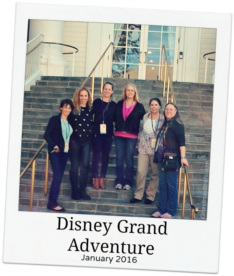 Disney Grand Adventure media
