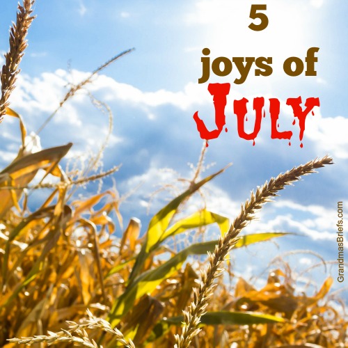 joys of july