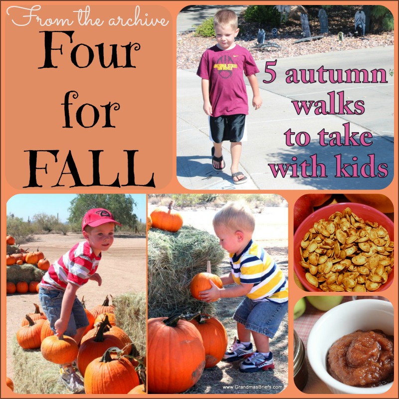 fall recipes and fun