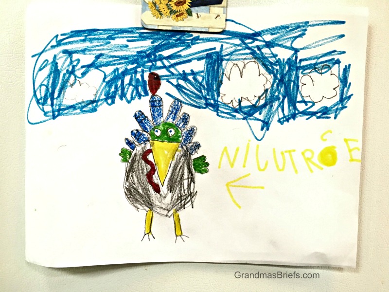 hand drawn turkey